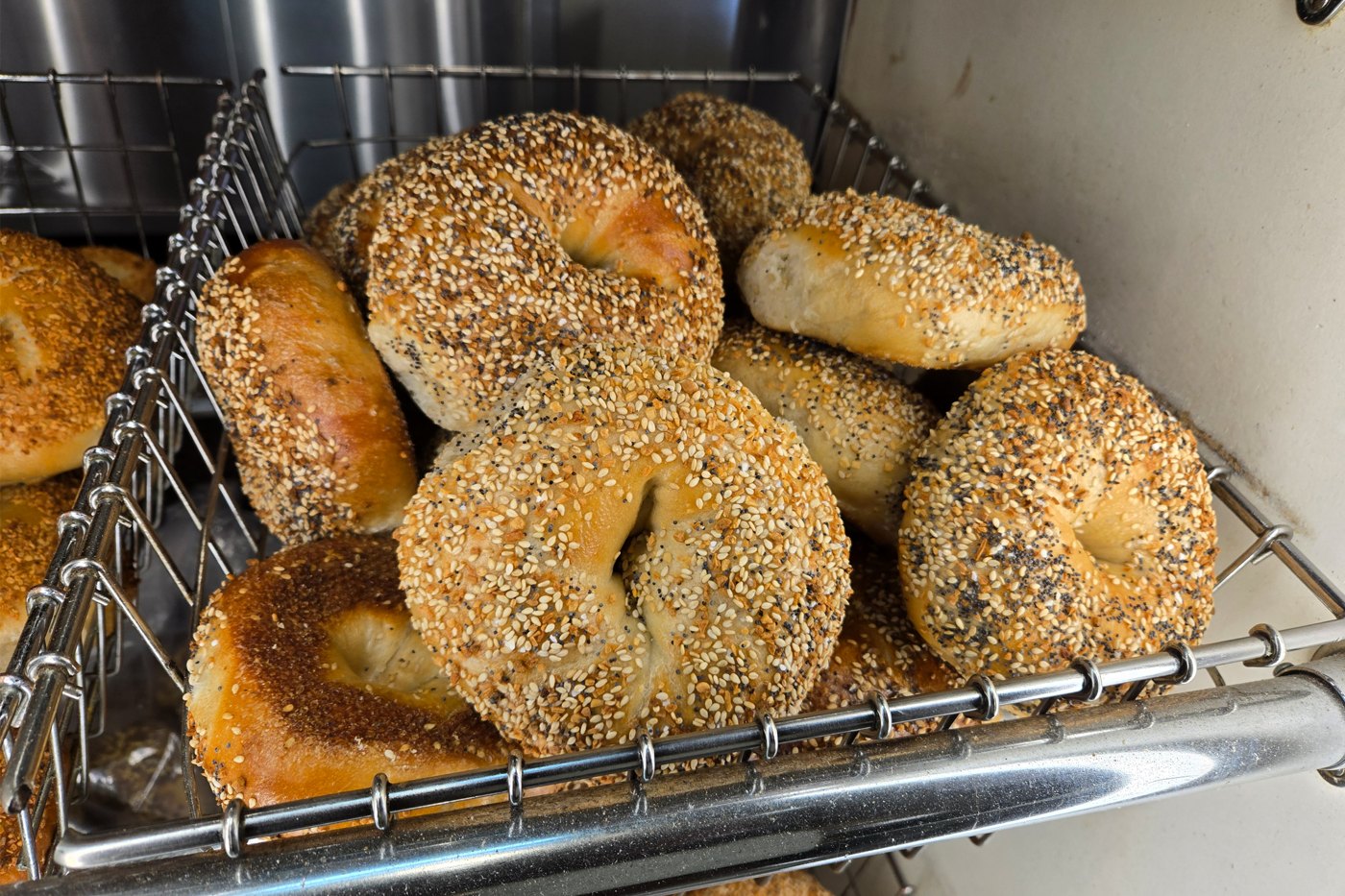 Fresh Bagel Boy bagels